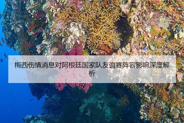 梅西伤情消息对阿根廷国家队友谊赛阵容影响深度解析